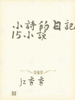 小诗的日记1一15小说