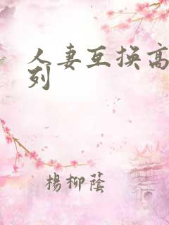 人妻互换高h系列