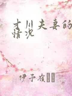 才川夫妻的恋爱情况