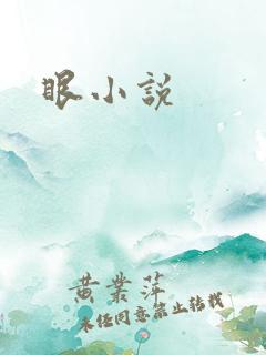 眼小说