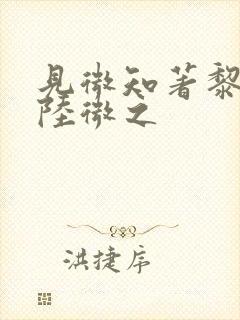 见微知著黎见卿陆微之