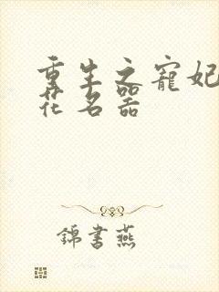 重生之宠妃白莲花名器