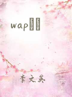 wapС˵