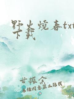 野火烧春txt下载
