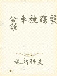 公车被强系列小说