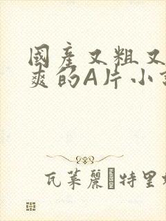 国产又粗又黄又爽的A片小说