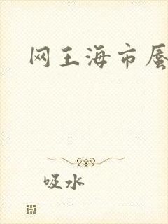 网王海市蜃楼
