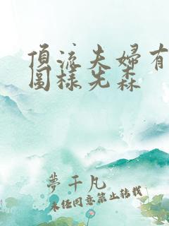 顶流夫妇有点甜图样先森