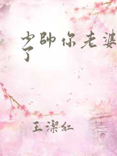 少帅你老婆又跑了