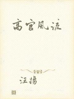 高官风流