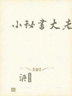 小秘书大老婆