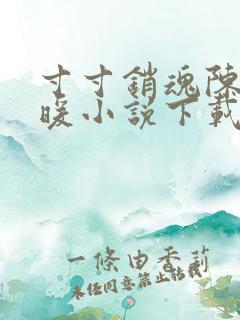 寸寸销魂陈聪王暖小说下载