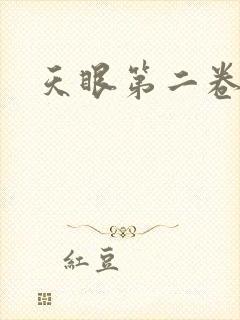 天眼第二卷