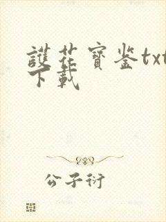 护花宝鉴txt下载