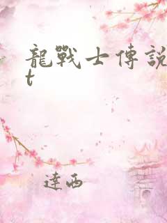 龙战士传说txt