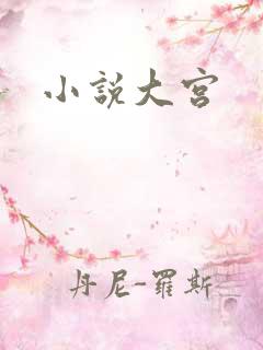小说大宫