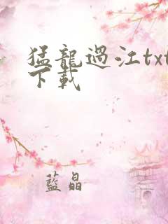 猛龙过江txt下载