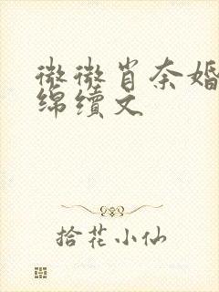 微微肖奈婚后缠绵续文