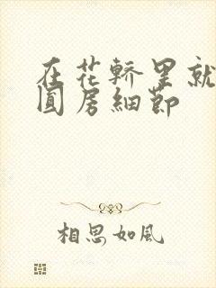 在花轿里就开始圆房细节