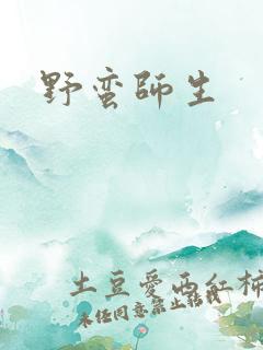 野蛮师生