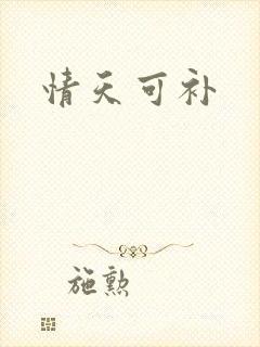 情天可补