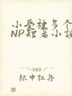 小受被多个攻强NP短篇小说