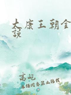 大康王朝金峰小说