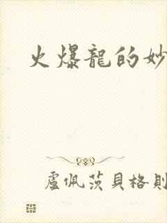 火爆龙的妙管家