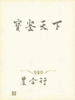 宝鉴天下