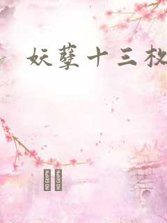 妖孽十三枚