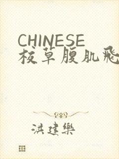 CHINESE校草腹肌飞机视频