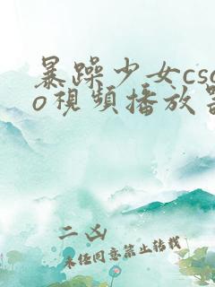 暴躁少女csgo视频播放器推荐