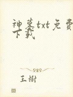 神墓txt免费下载