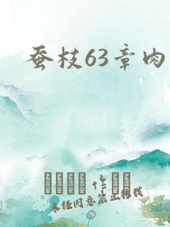 蚕枝63章肉