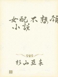 女配不想领便当 小说