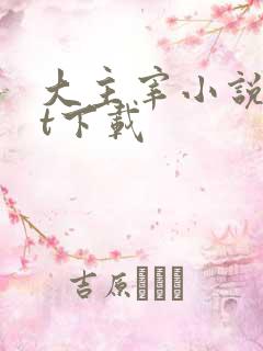 大主宰小说txt下载