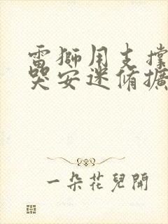 雷狮用支撑器玩哭安迷修扩张