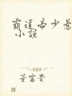 霸道帝少惹不得 小说