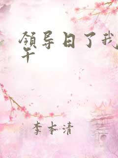 领导日了我一下午