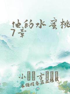 他的水蜜桃第27章