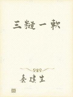三糙一软