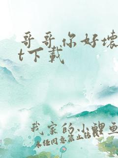 哥哥你好坏txt下载