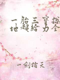 一胎三宝总裁爹地超给力全文免费阅读