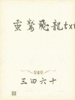 灵鹫飞龙txt