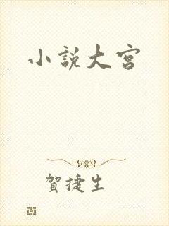 小说大宫