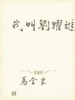 我叫刘跃进下载