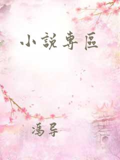 小说专区