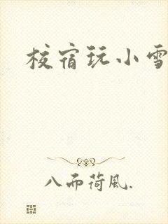 校宿玩小雪