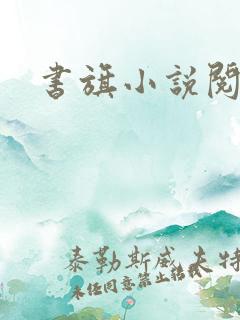 书旗小说阅读网