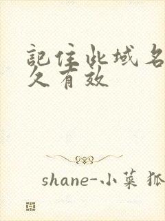 记住此域名记永久有效